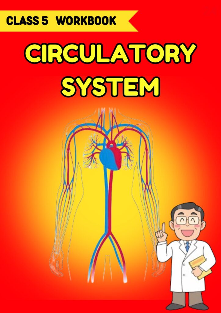 class 5 science workbook