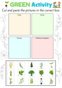 cut and paste worksheet