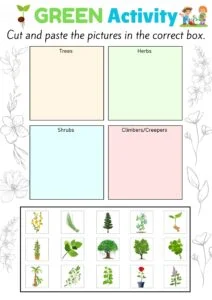 cut and paste worksheet