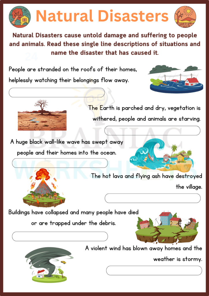 class 5 evs worksheet