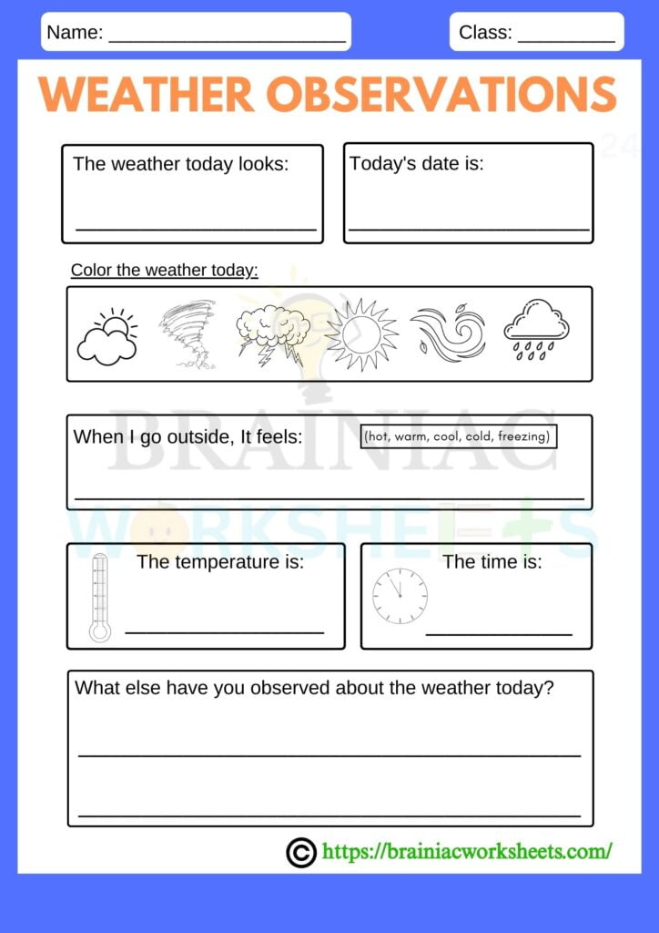 evs worksheet for class 2