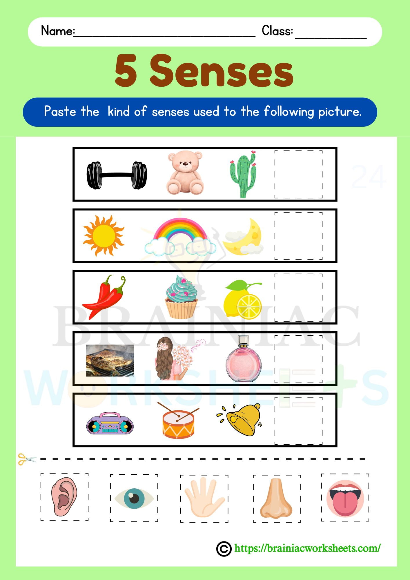 Five Senses Ukg Science Worksheet - Brainiac Worksheets