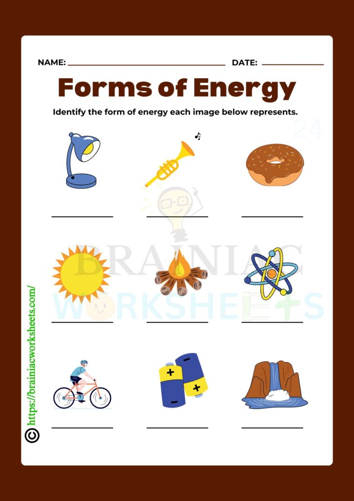 class 5 science worksheet