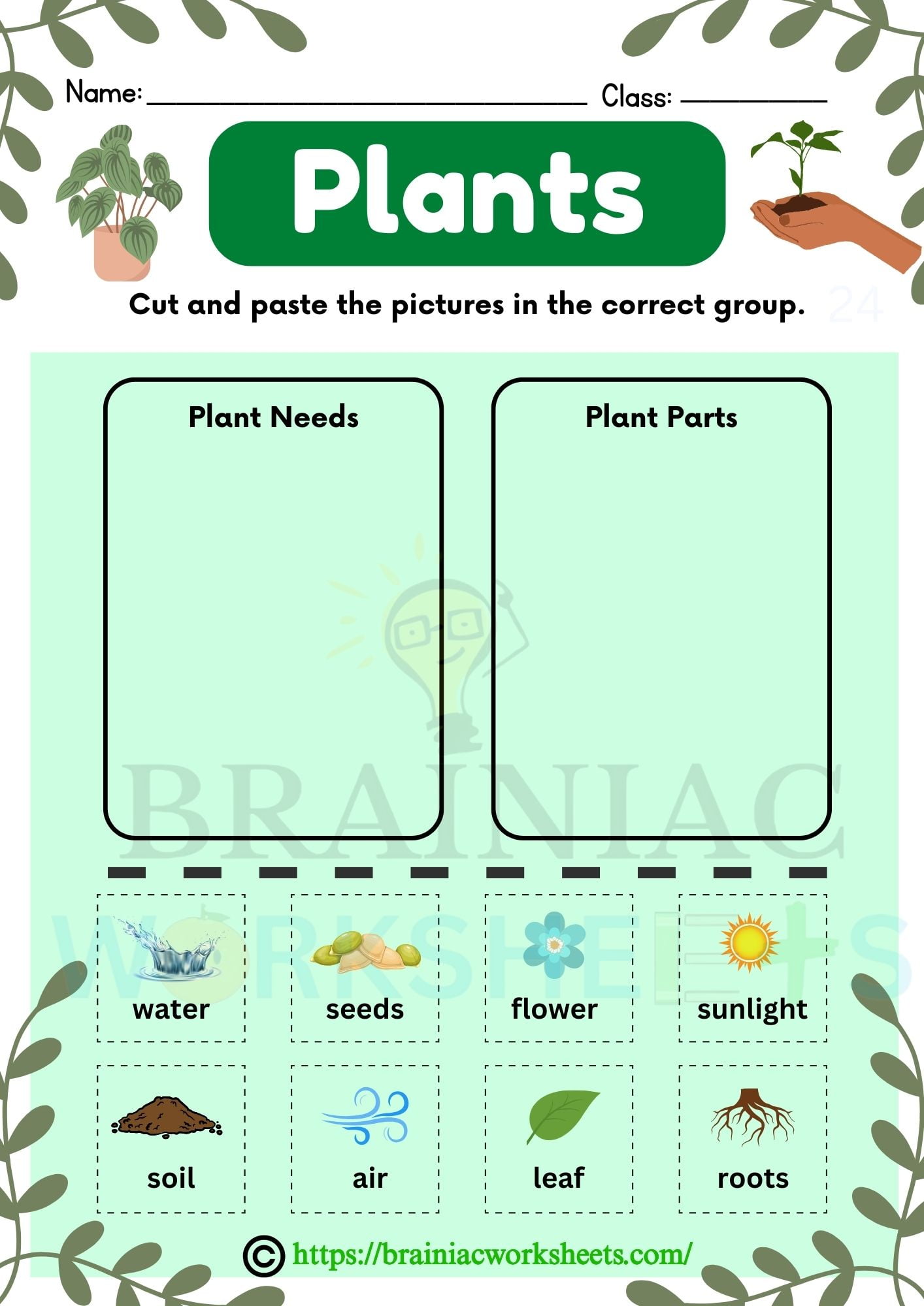 Plant Parts And Needs Class 1 Science Worksheet - Brainiac Worksheets