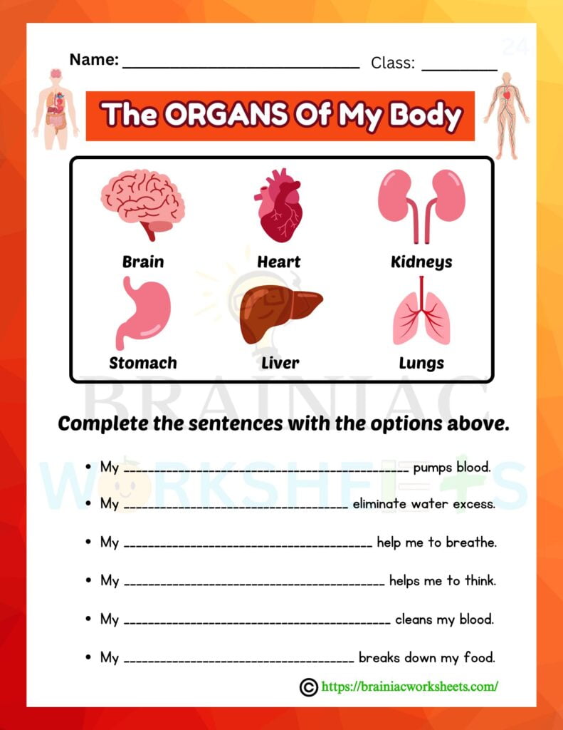 science worksheet for class 5