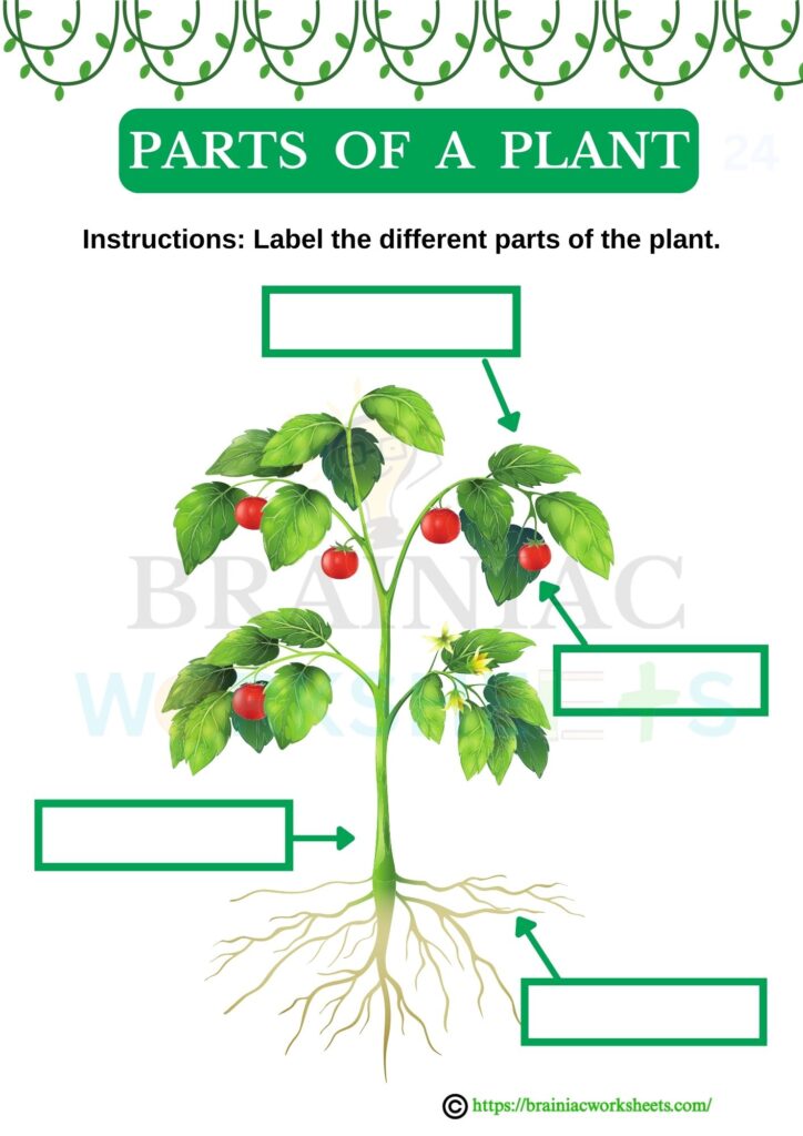 science worksheet for class 2