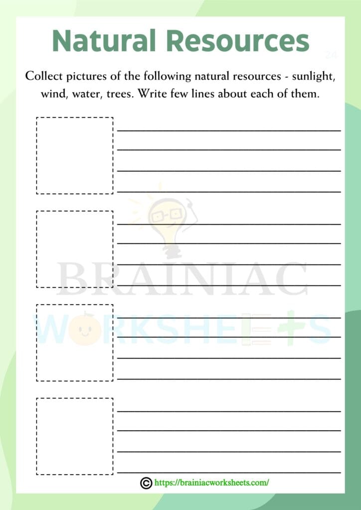 science worksheet for class 3