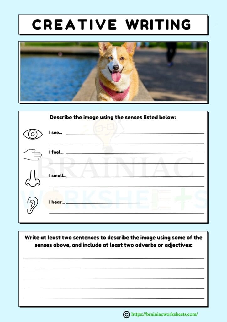 english worksheet for class 2