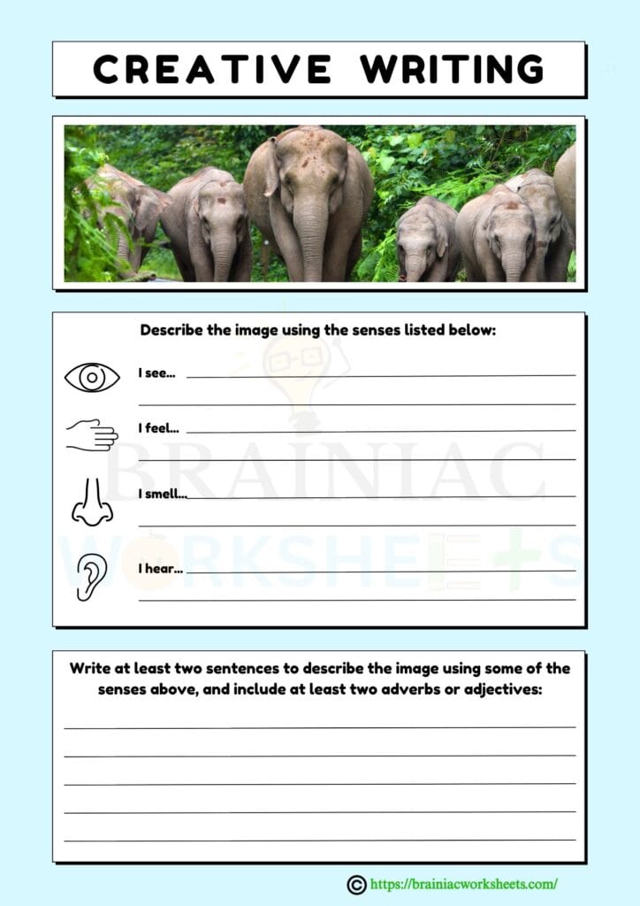 english worksheet for class 2