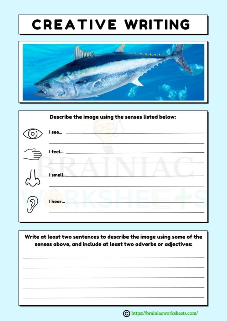 english worksheet for class 2