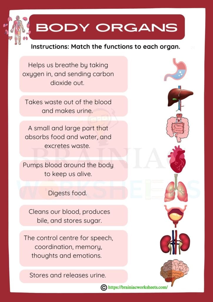 science worksheet for class 5