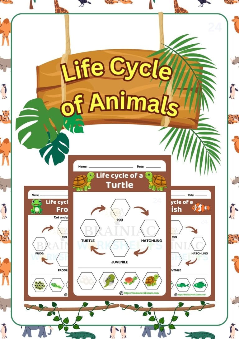 science workbook for class 3