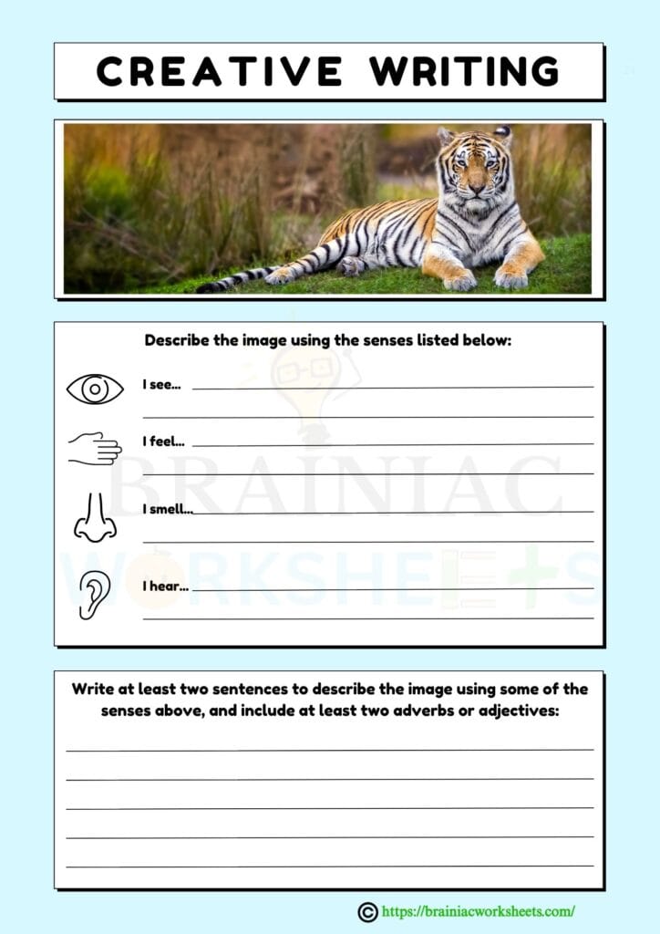 english worksheet for class 2