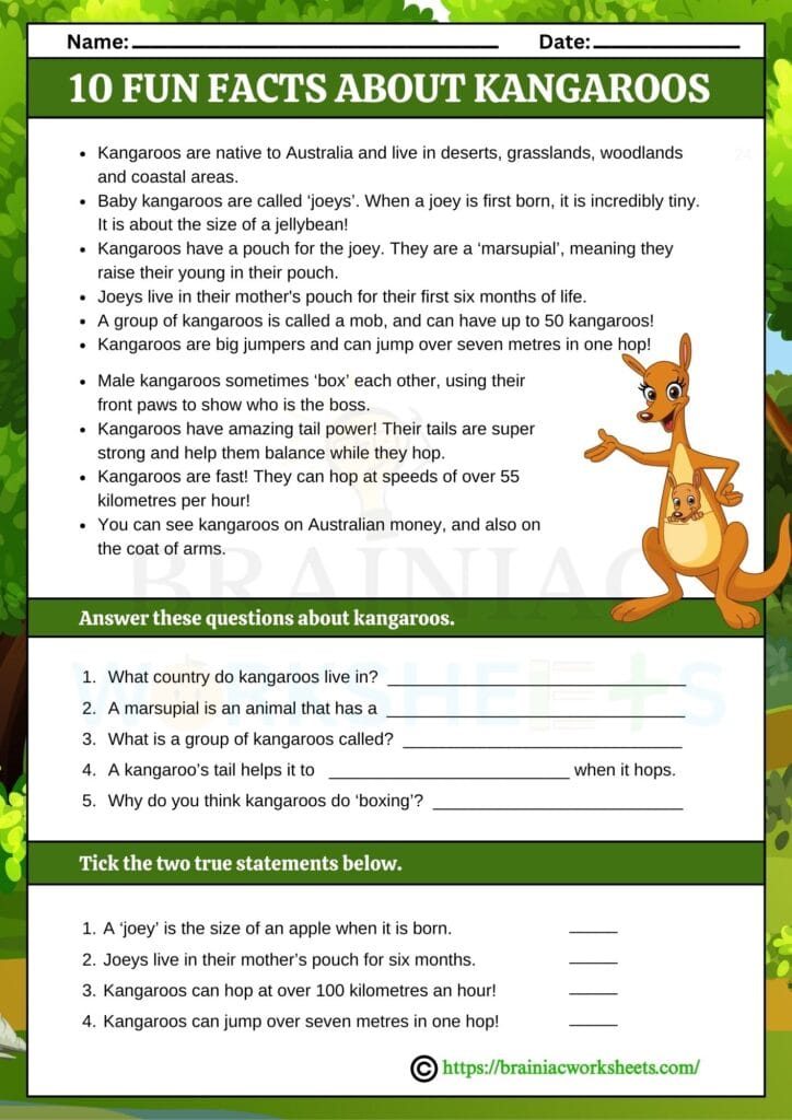 english worksheet for class 5