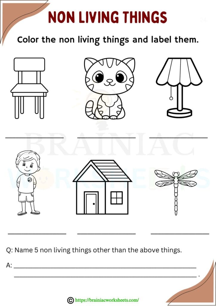 science worksheet for class 1