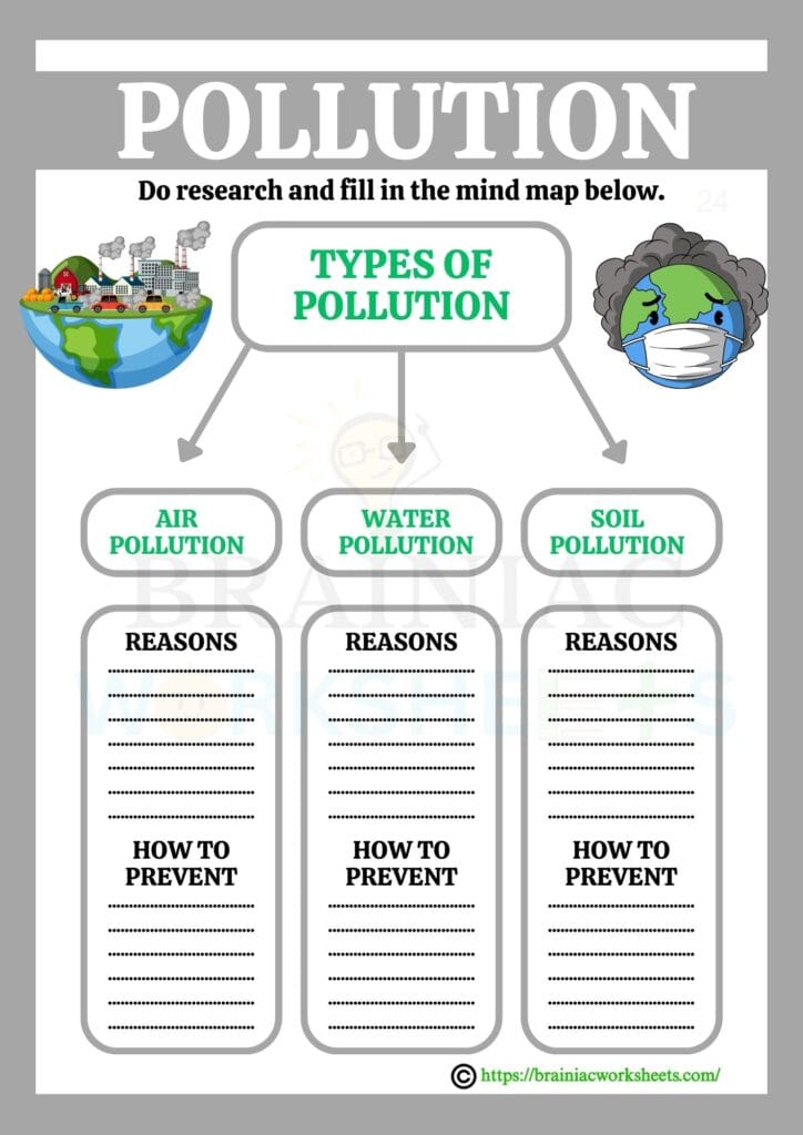 evs worksheet for class 4