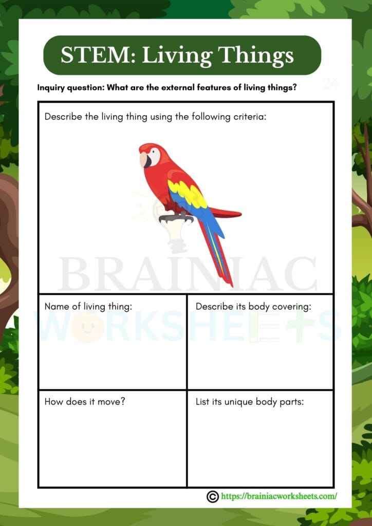 science worksheet for class 1