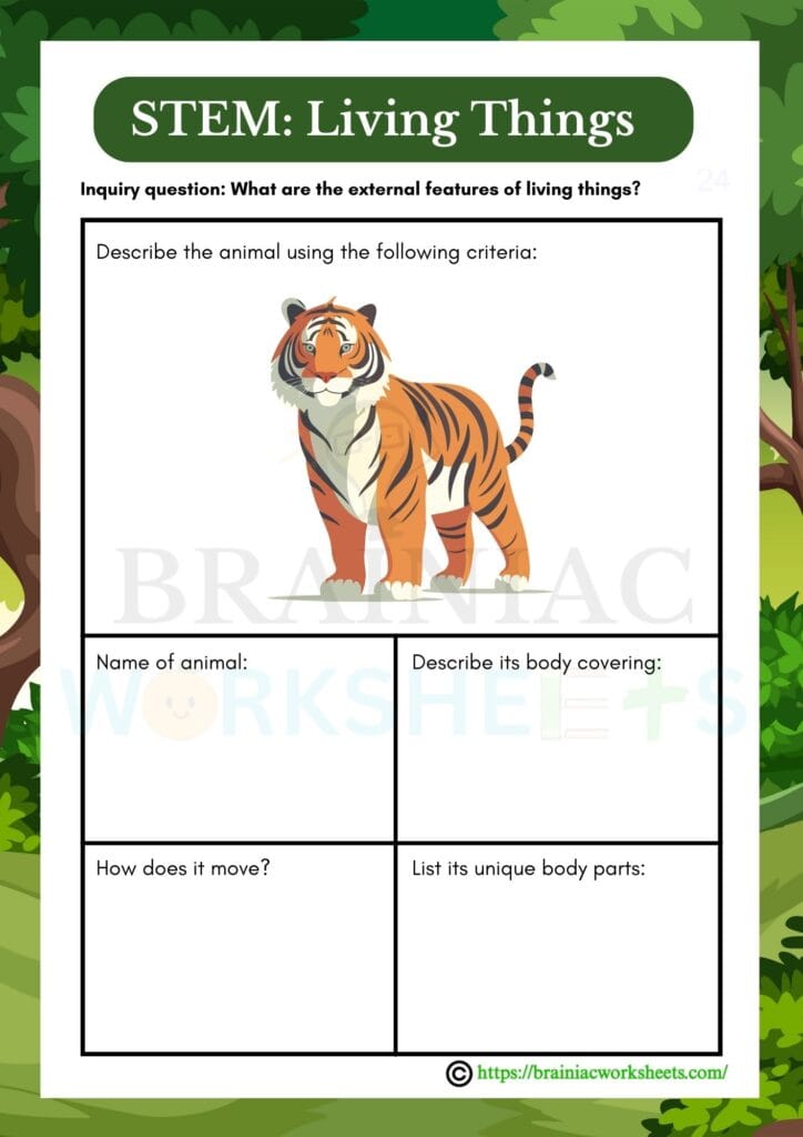 science worksheet for class 1