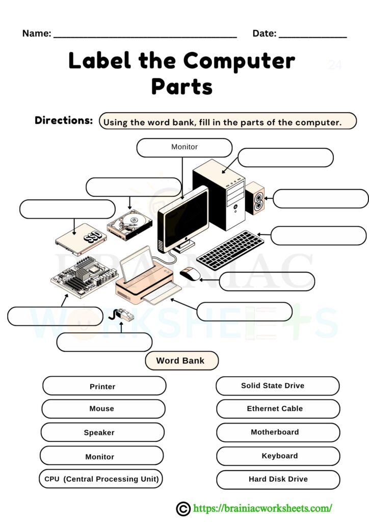 computer worksheet for class 2