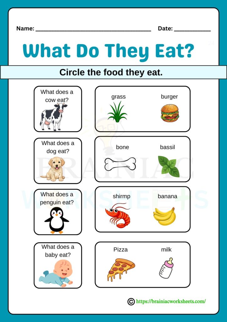 science worksheet for class 1