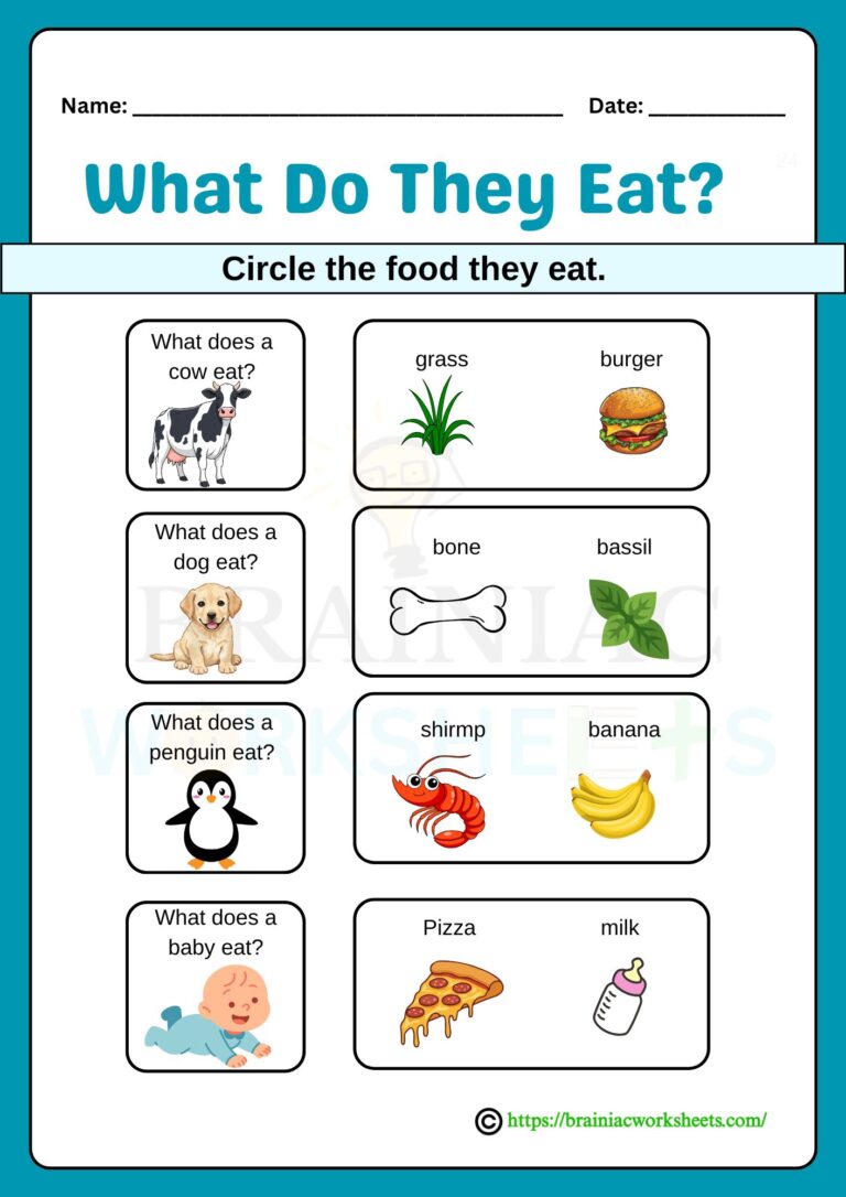 science worksheet for class 1