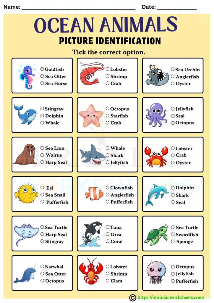 GK worksheet for class 4