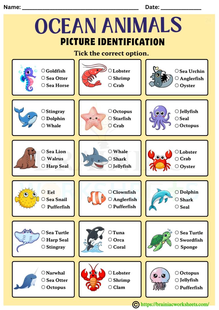 GK worksheet for class 4