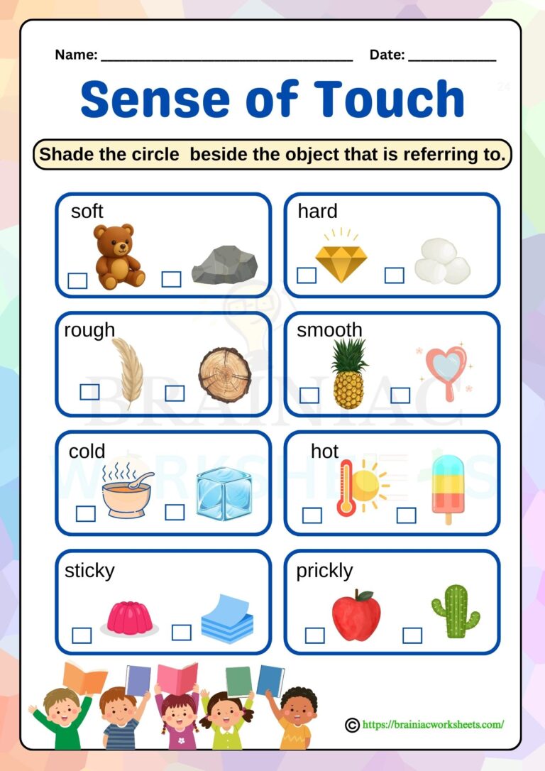 ukg science worksheet