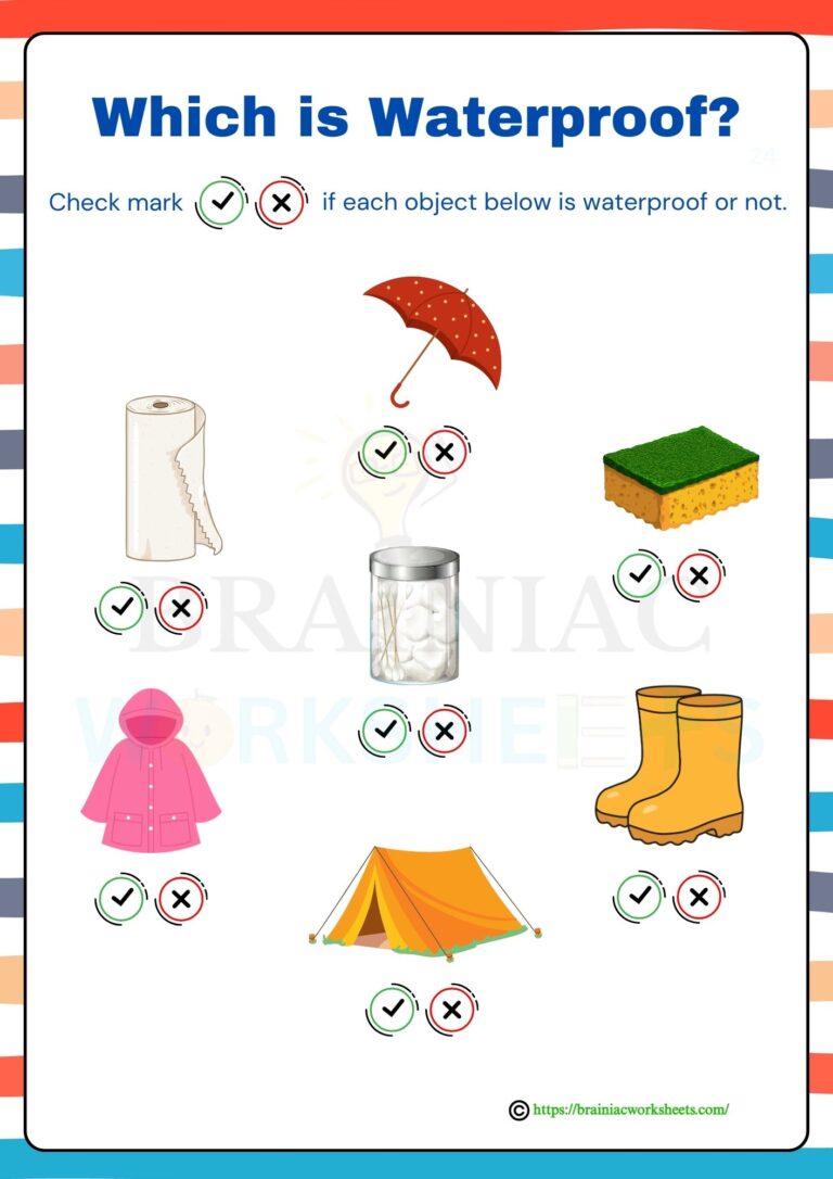 science worksheet for class 1